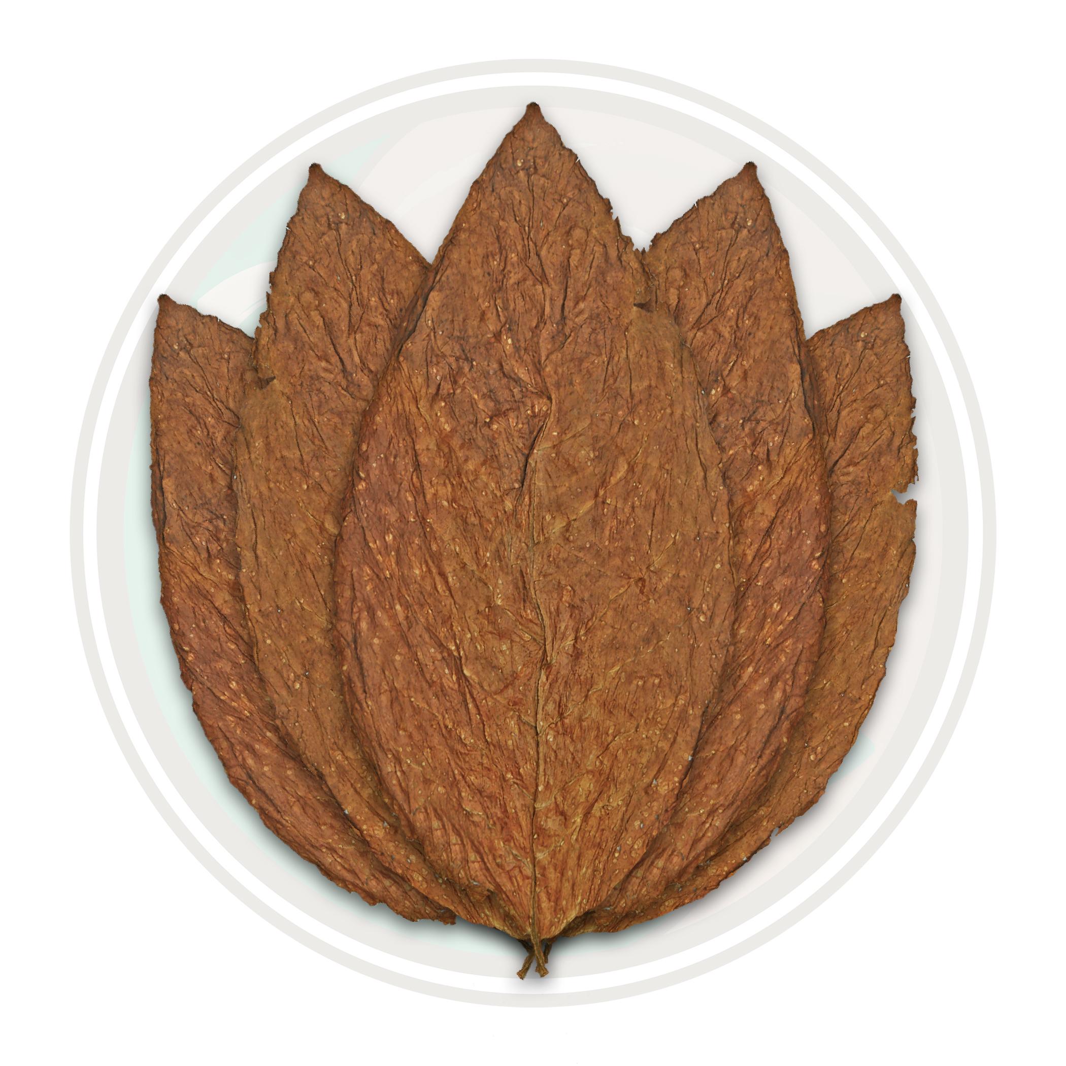 Maryland 609 Whole Tobacco Leaf Only